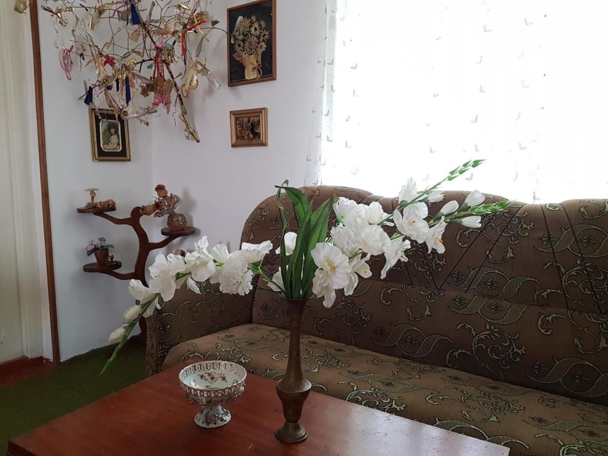 Гостевой дом Guest House Samada Икалто-27